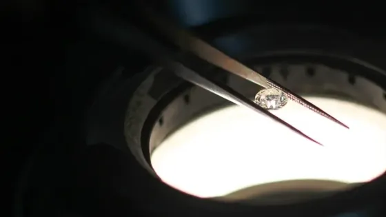 7c4d3163-fdc2-4628-9c4d-24f6e74c5df2