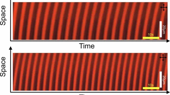 photo_2025-09-08_19-24-48