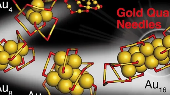 6fd10a1c-cb6a-4ca1-8e51-a46fba31cb7f