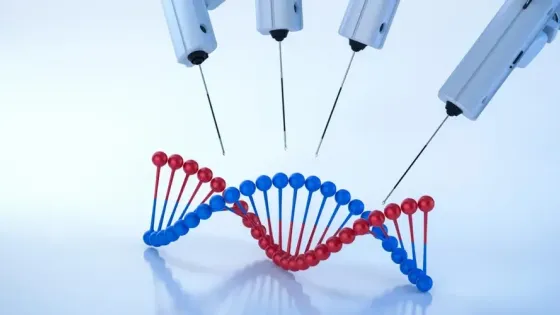 f9568564-00e9-47ba-bd19-e2a7b6db3ce3