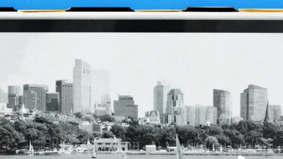 bee3e9a7-11da-47e7-9264-988cc864b4f7