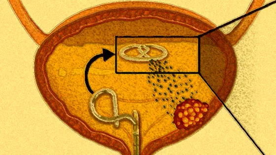 68c345fabd64e_img_tablet