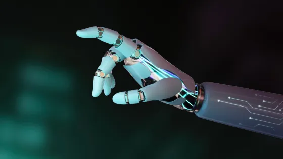 01K4ZRH09PQPCZD2PT6K5T9HMK-v1