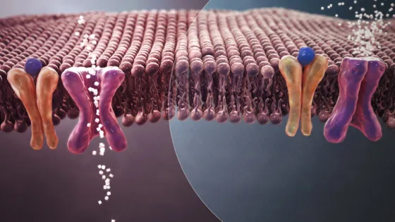 68c879acb030b_img_tablet