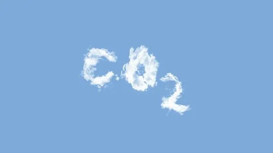 01K5A0CPJ3K8JDMWGA2EARNNCD-v1