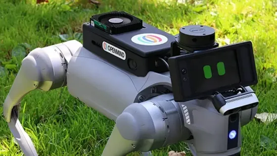 699426b4-8f2e-49d9-9b01-f47794ce1ffd