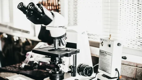 logan-gutierrez-BQ95Oc7Nvvc-unsplash