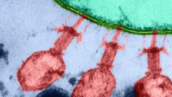 bcd0f002-823e-45ea-a91e-b932718f7757