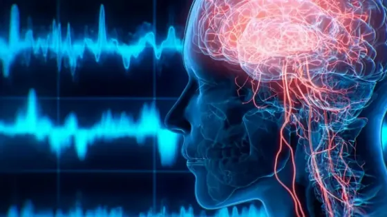 aba7905e-0709-48b0-85ab-d01b9df5ce9e