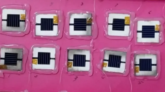 51ba27df-5298-4197-863a-ca8f47515c46