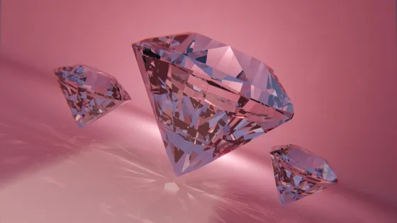 01K5VSG6QCGFSQQGMAAPH4ZFP8-v1