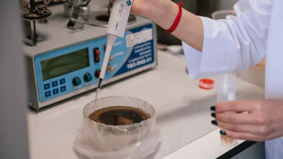 01K63H8DXHC8ATGD1MQ6VT6DNN-v1