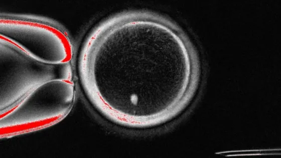 68dbeae76cb1f_img_tablet