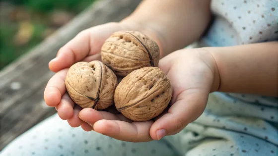 three-walnuts-in-a-child-s-palm