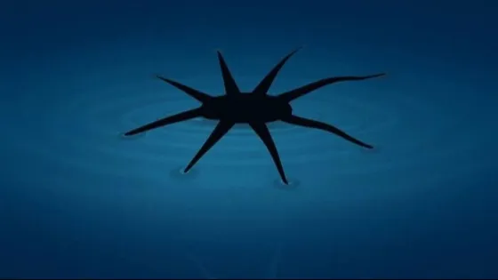 01K6K43MKST03M74ZGAP29TPC3-v1