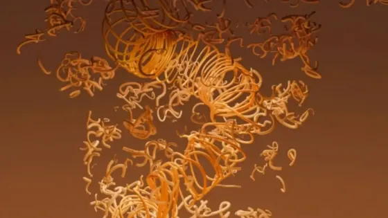 21a71550-9738-4e78-b6de-881fba1c0b2f