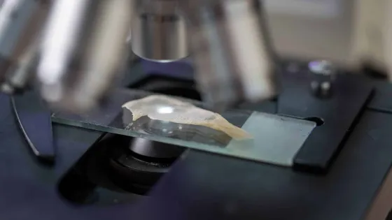 IMG_20251010_103659_724-scaled