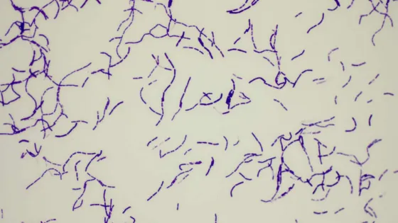 photo_2025-10-10_14-48-20