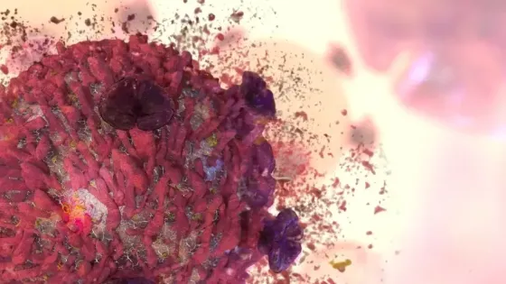 daa566eb-f47a-47fc-af45-d31b9e0c1643