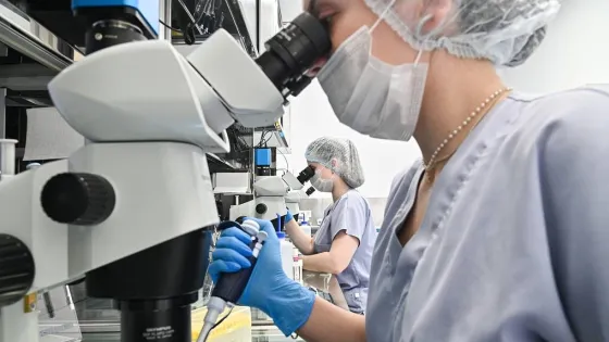 01K7FBKM7CAX1N7JE2ZQG8M7XY-v1