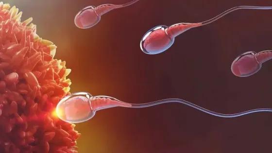 6b5b68cb-d985-44e6-8cac-17b54493c5b0