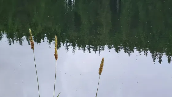 karsten-klemme-lEY541S7_38-unsplash