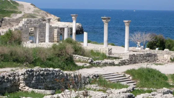 01K7Q6VS586HYFM8SZH9TVBKAG-v1