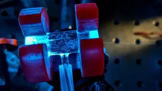 f41ba212-7231-4cbd-816a-2df50d1cb95c