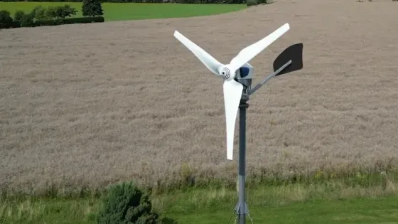 01K7SMQ95GYFK82YHC5SJ6XS1D-v1