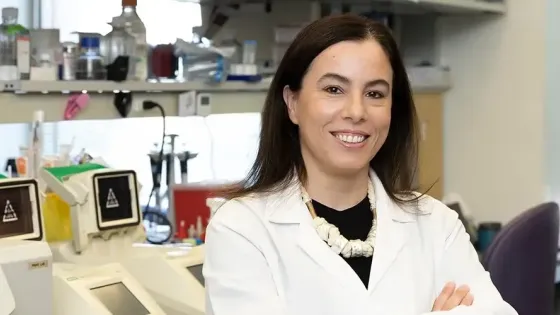 6cb87c90-d0bf-4b81-9368-00b47885b731