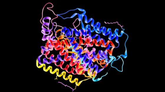 68f16b67b8bc6_img_tablet