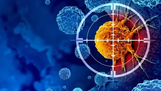 8fbb7c97-329c-4758-9ae2-360a6b55c1fe