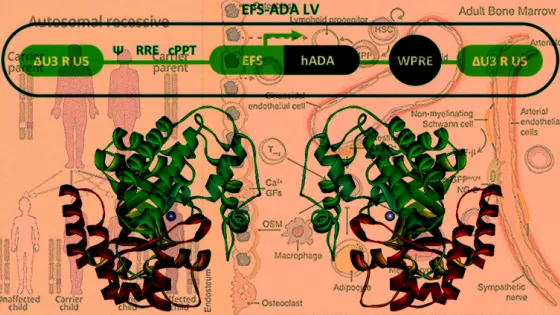 68f54ab12b3b8_img_tablet