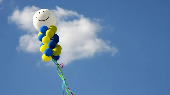 john-cardamone-hv2Q4GRKxY8-unsplash