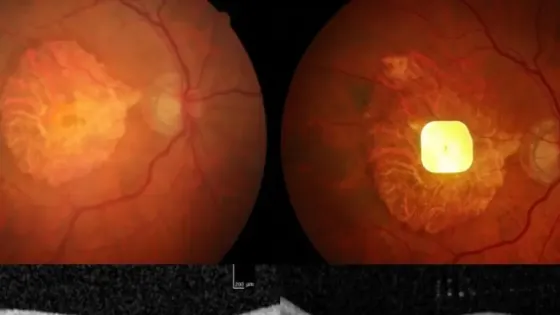 b8853b7a-207f-4318-b11a-a7fc546c484c