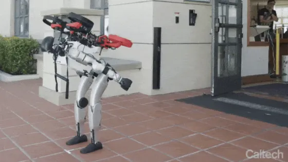 Снимок экрана 2025-10-21 в 22.23.48