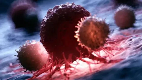 3cecbbe5-4774-497c-8627-efe49402d72d