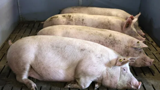 1761207676482702_rNXJ5Z4j