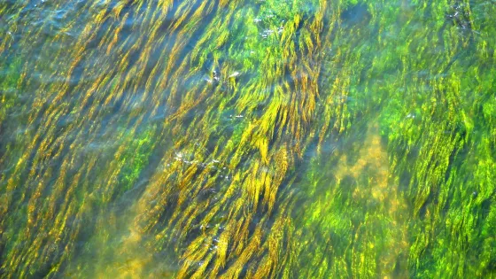 d240d4d9f0584b788c999a7964eea6d4.max-2500x1500