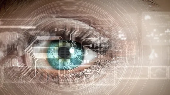 qkajyda21ssf68urnh2tqc5rere