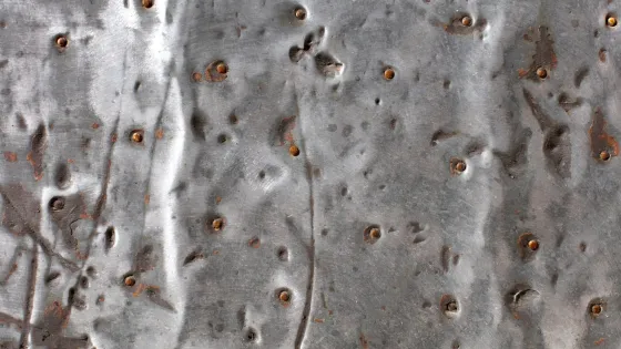 photo_5465409170959366971_w-scaled