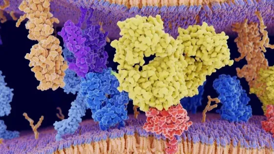 cb6418cb-e674-4661-bd19-272d9329f511