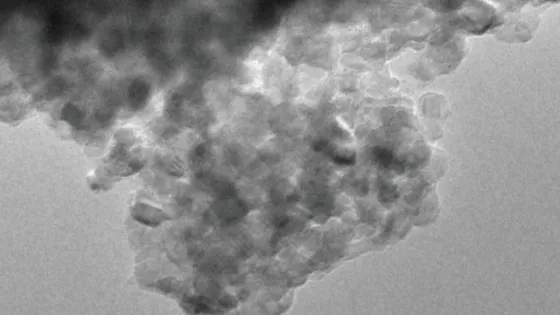 5190672199072215981-v1