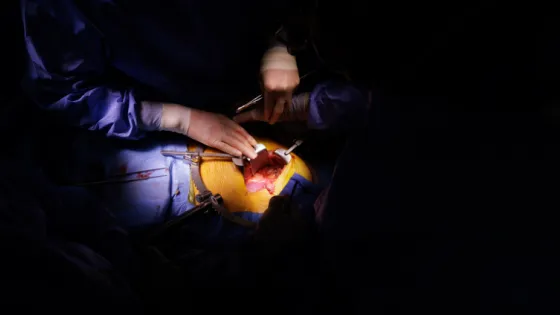 69013cee2fbcb_img_tablet