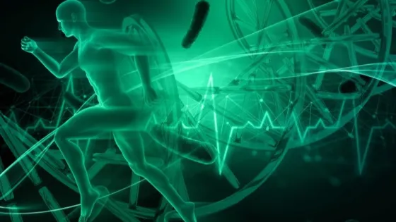 01K8V94F53W66MZM64MAN0WTXB-v1