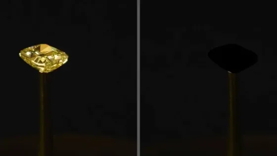 61da63ae-38ee-4f42-90c2-2cfb082d4c66