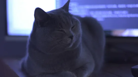 gregorio_nico-4zxWlEkOEac-unsplash