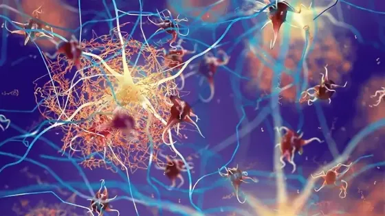 c2172af2-acbc-46d1-8699-26212092e85c