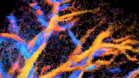 3e4ae7a5-6d25-412a-aded-682ac0c6da14