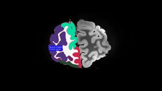 01K9DCBDNXB88BD8MMDMGS0A09-v1